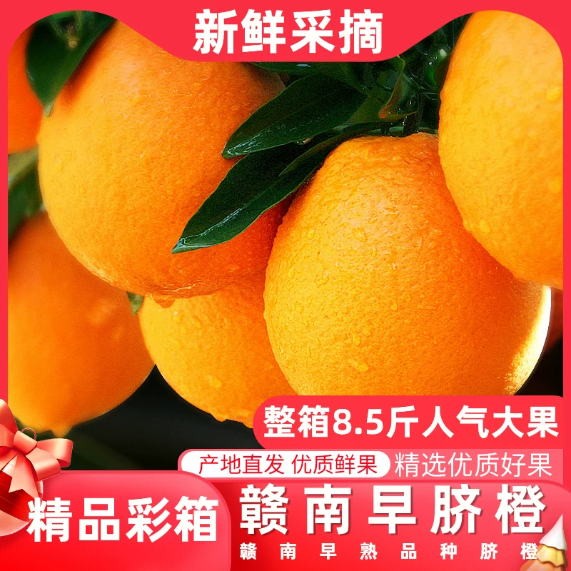 【产地直发】正宗赣南早脐橙5斤水果纽荷尔脐橙新鲜水果汁橙子
