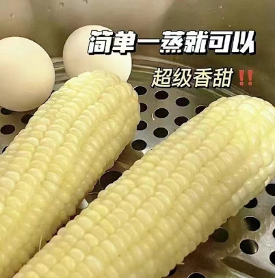 18.9元包邮！300g！十根超大根糯玉米（好评商家返1元）