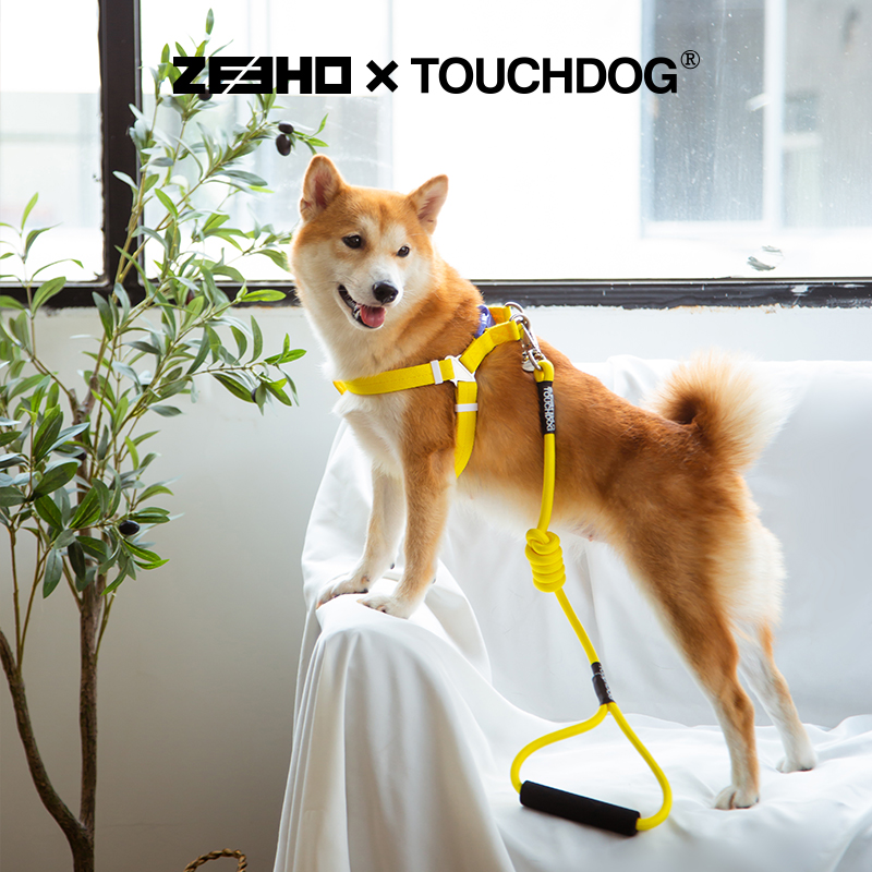 Touchdog它它彩虹糖狗狗攀岩牵引绳套装