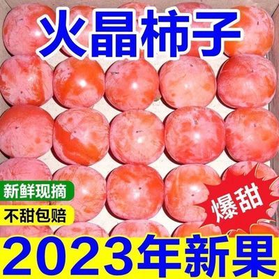 PDD热销产品汇总08点档更新2023/09/23