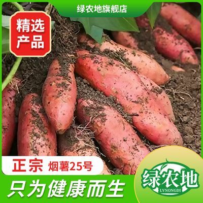 PDD热销产品汇总08点档更新2023/11/19