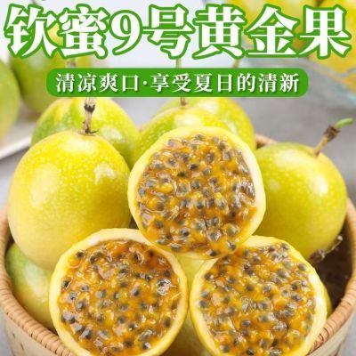 PDD热销产品汇总14点档更新2026/05/09