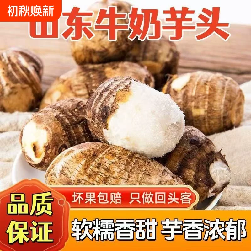 山东牛奶小芋头4.5斤