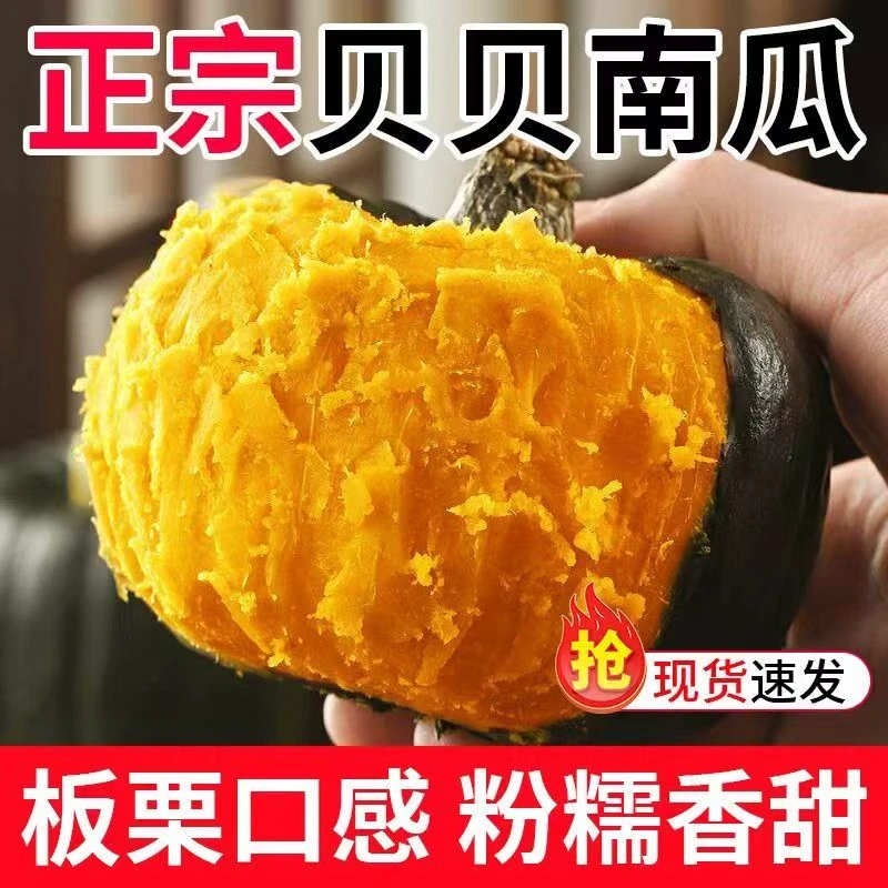 正宗山东贝贝南瓜新鲜板栗味南瓜栗面瓜婴儿辅食孕妇粉糯香甜南瓜