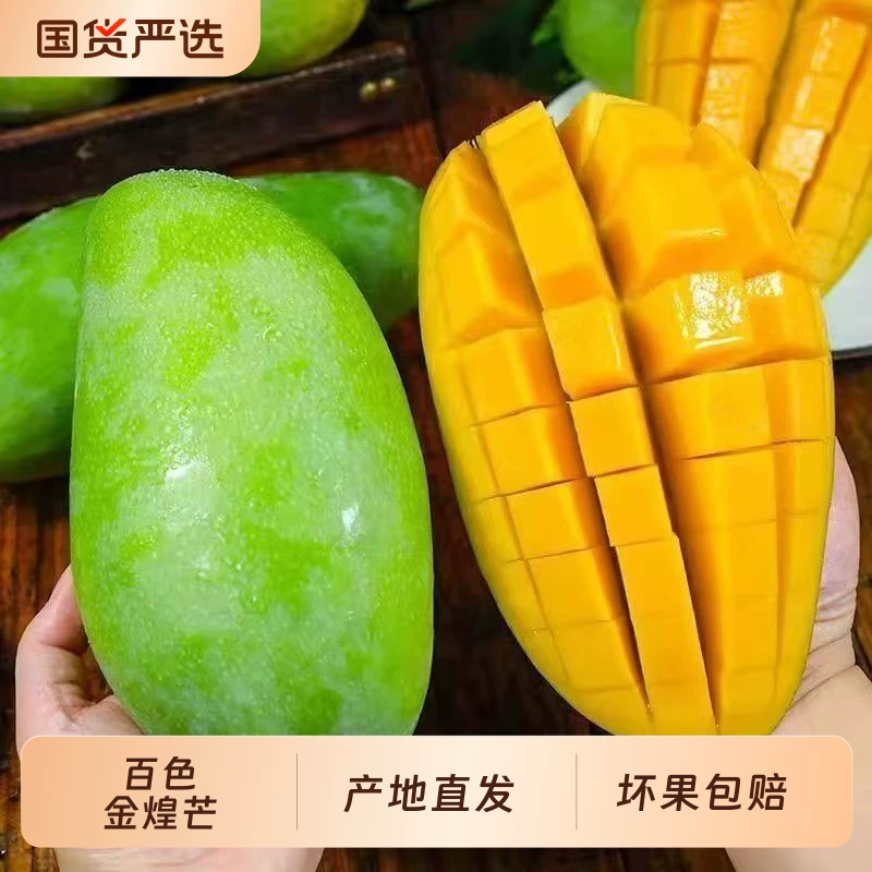 广西百色金煌芒净重4.5斤