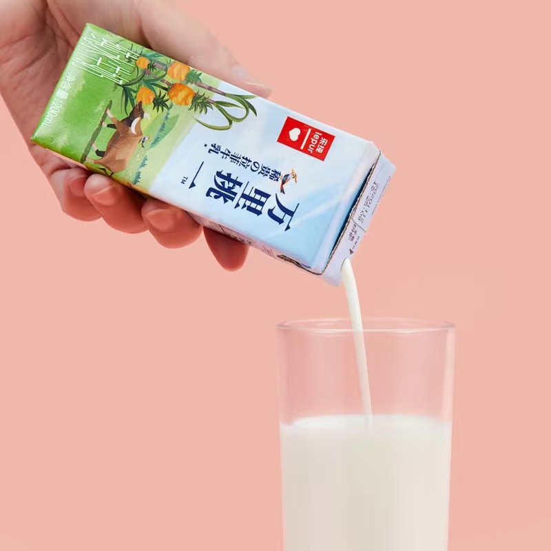 2箱乐纯水牛奶儿童纯牛奶整箱200ml*12