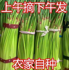 14.99元包邮！【超低价】农家自种白帽蒜苔3斤