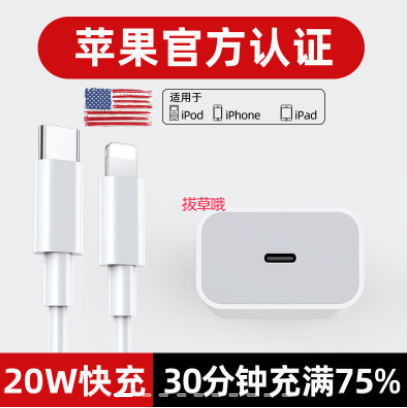9.9元包邮！苹果X数据线1米+充电器