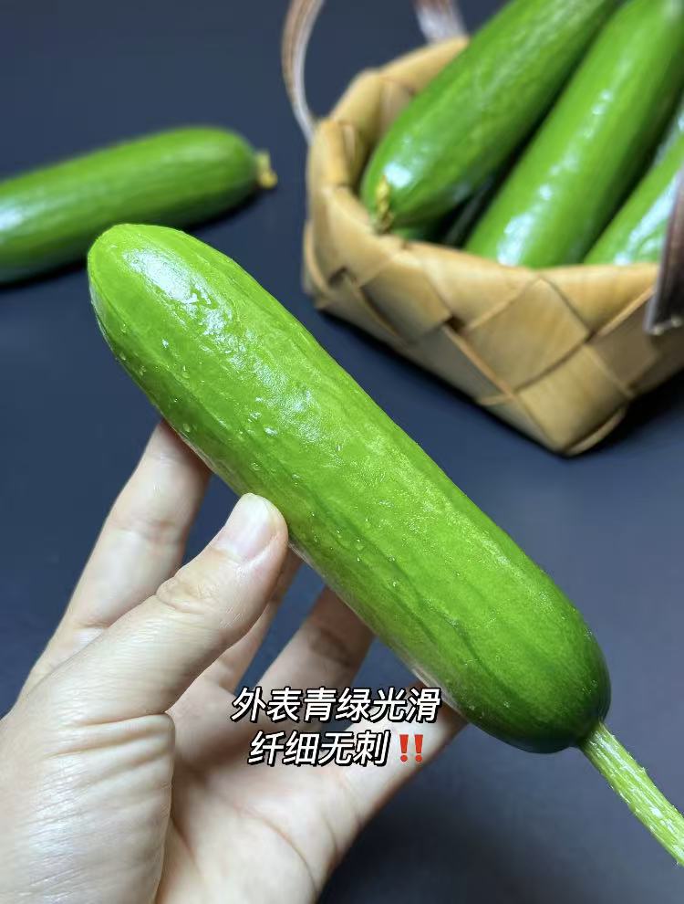 0_2