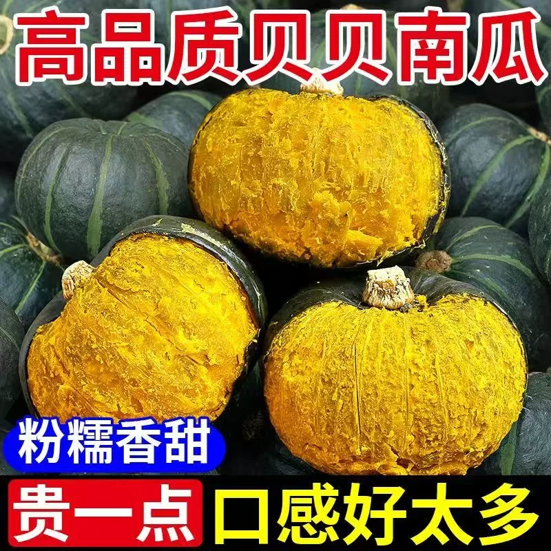 正宗贝贝南瓜250g+大果【净重4.5斤】