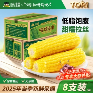 啃糯东北新鲜糯玉米黄糯玉米真空包装粘甜糯现摘低脂代餐即食8棒