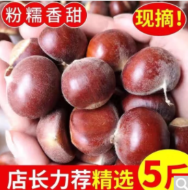 19.9元包邮！绿鲜森 新鲜丹东板栗 五斤装中果