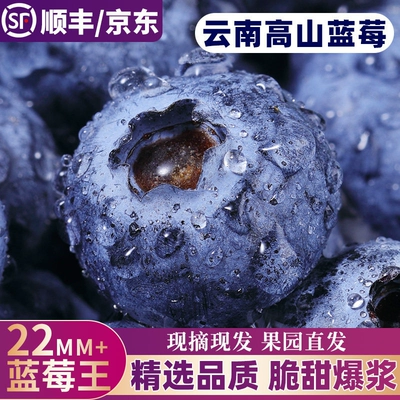 蓝莓水果应当季高端云南现摘特大果孕妇整箱顺丰花香一颗次日采摘