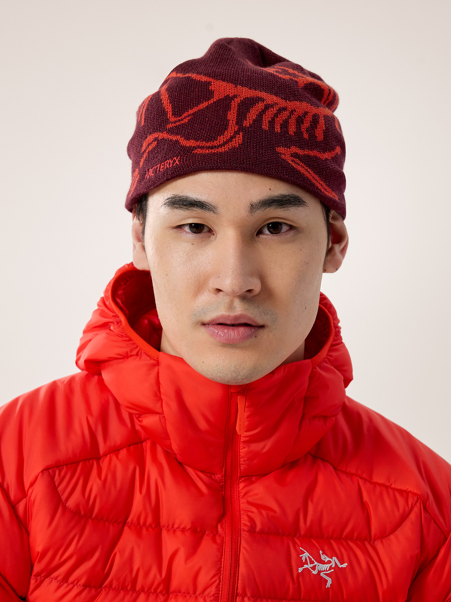 Arcteryx Bird Head Toque