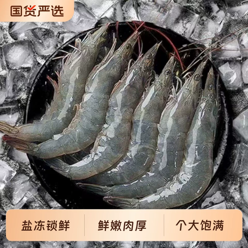 厄瓜多尔南美大虾2.8斤