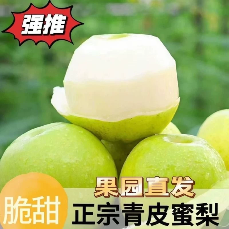 阿里砀山青皮梨4.5斤
