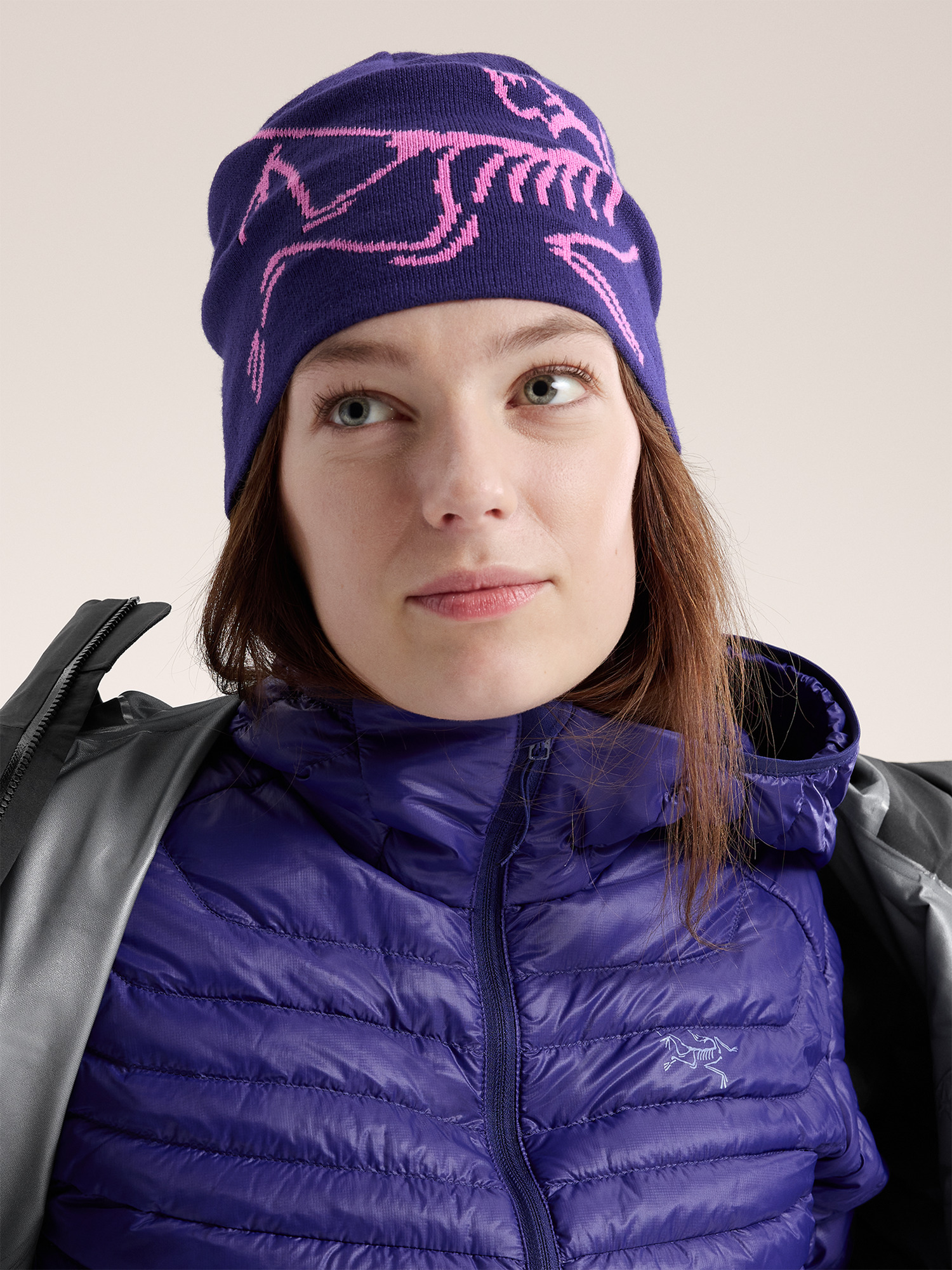 Arcteryx Lightweight Bird Head Toque