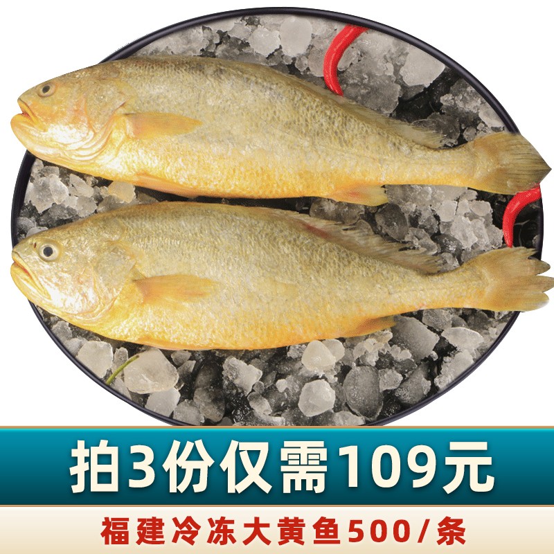 【JD专营】福建宁德大黄花鱼 500g*3条