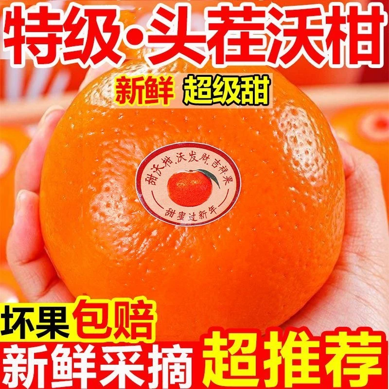 正宗云南爆甜沃柑水果新鲜应季当季橘子桔子