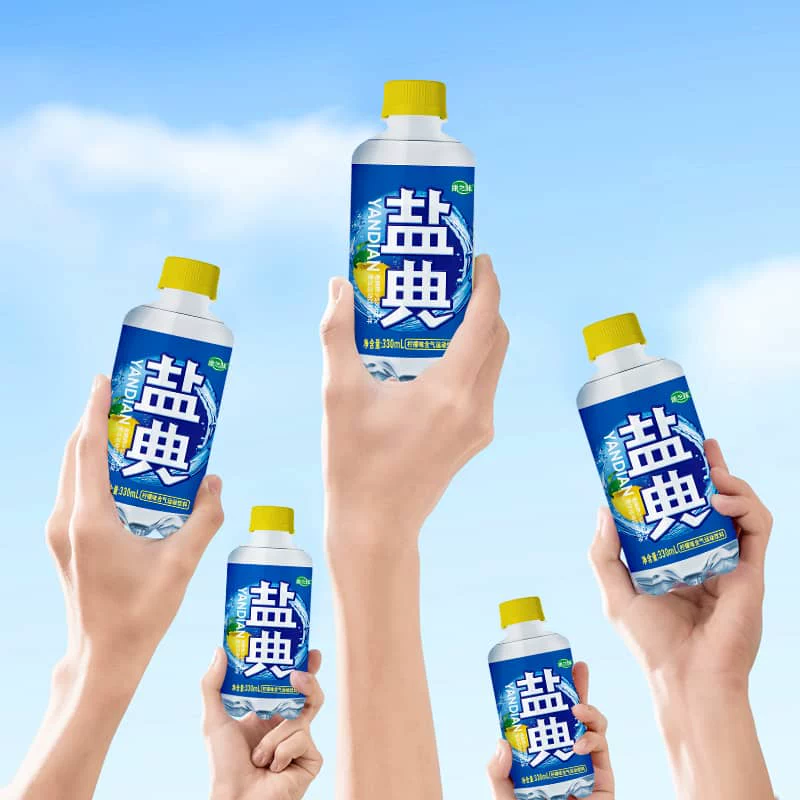 康之味盐典电解质水330ml*12瓶