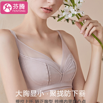 59.8元！芬腾 性感内衣女无钢圈文胸胸罩收副乳防下垂聚拢2件