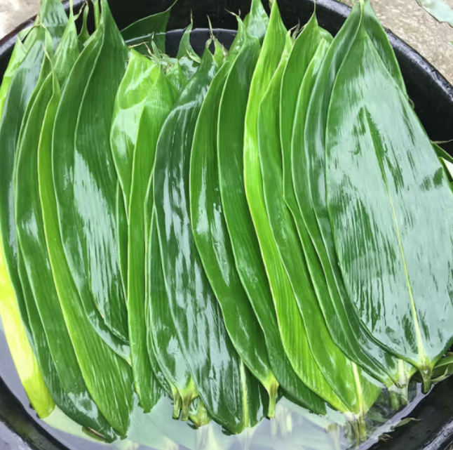 7.9元包邮！粽子叶鲜芦苇叶  50片+棉绳