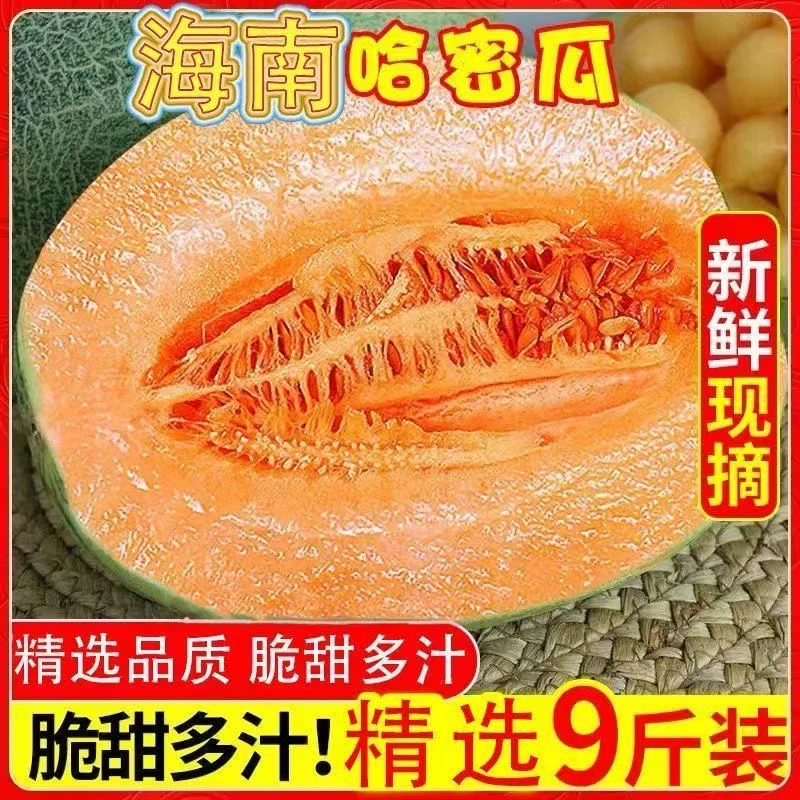 正宗海南哈密瓜吐鲁番西州蜜25号当应季新鲜水果网纹甜瓜整箱包邮