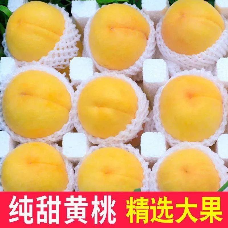 黄桃整箱4.5斤