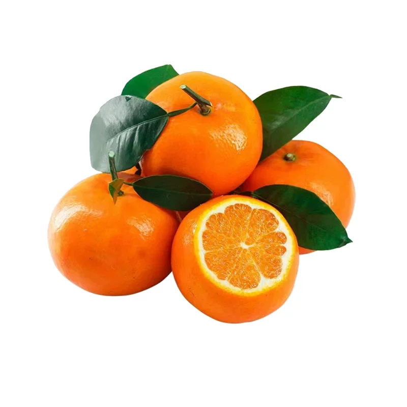 礼金+金币11.56！正宗云南应季沃柑4.5斤