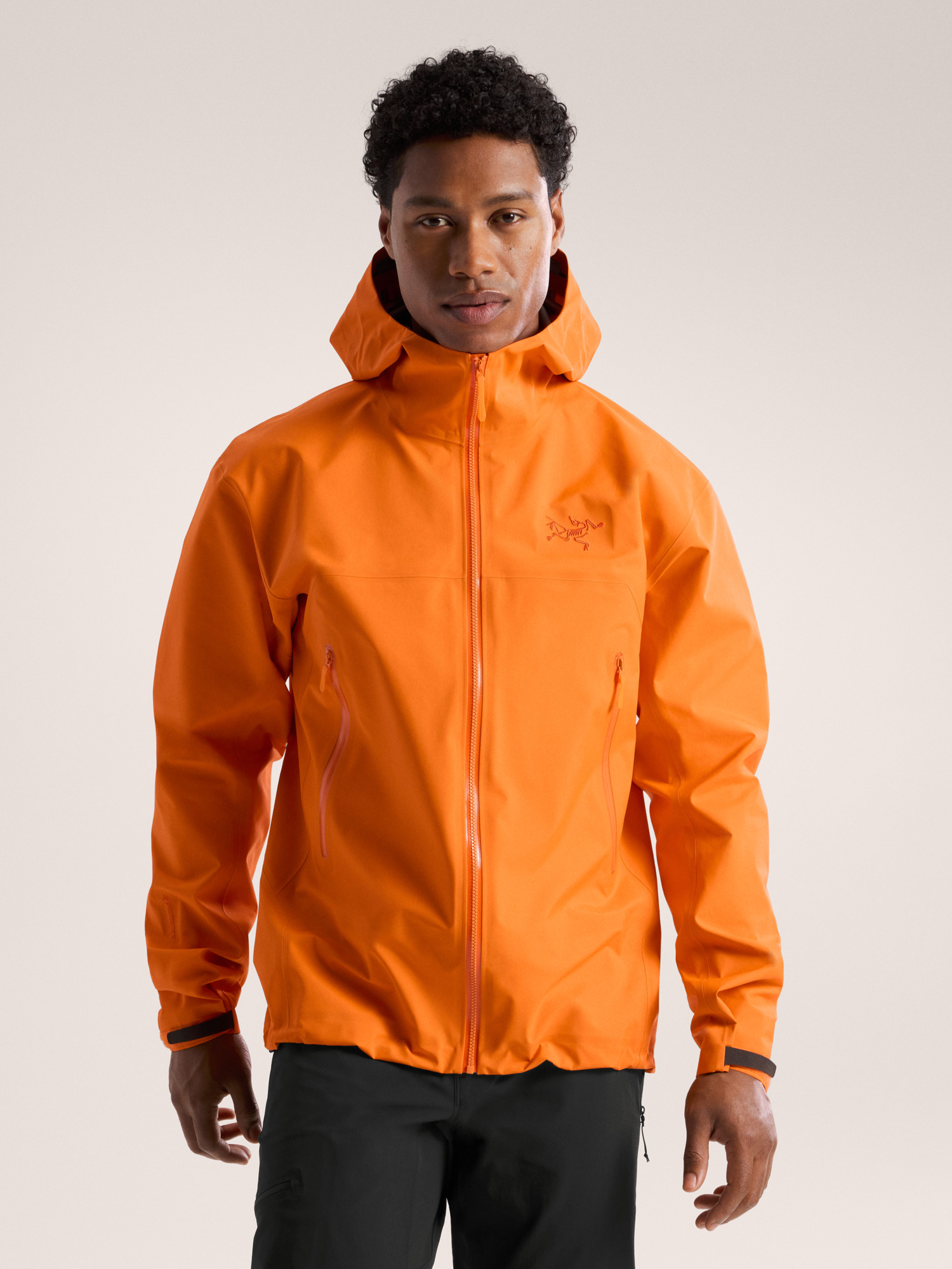 Arcteryx Beta Jacket Men's
