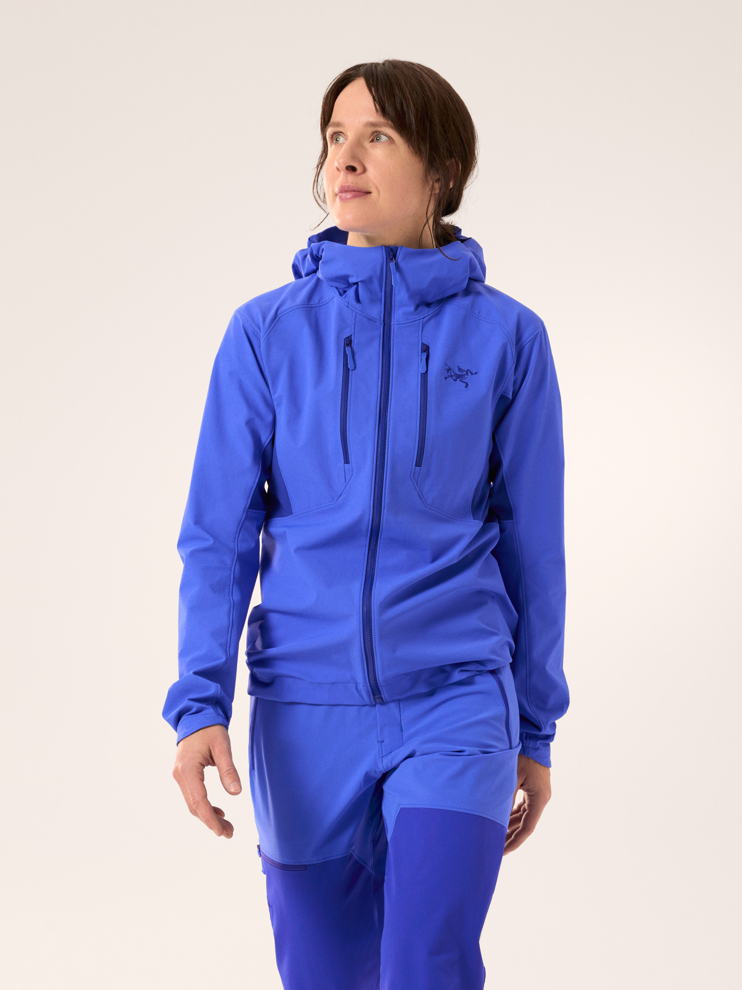 Arcteryx Psiphon Hoody Women's