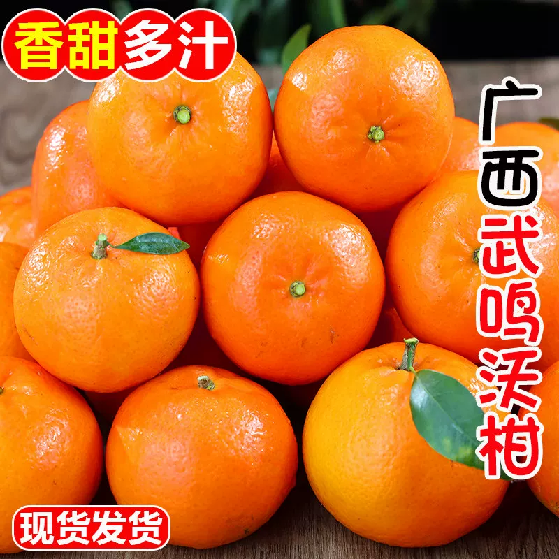 广西武鸣沃柑净重4.5斤