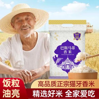 PDD热销产品汇总08点档更新2024/09/28