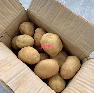 5.88元包邮！鲜黄皮黄心土豆5斤