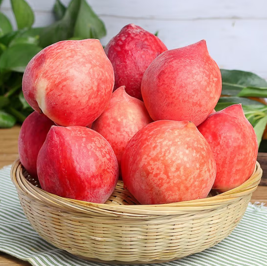 29.8元包邮！阿树尚 新鲜水蜜桃毛桃 9斤