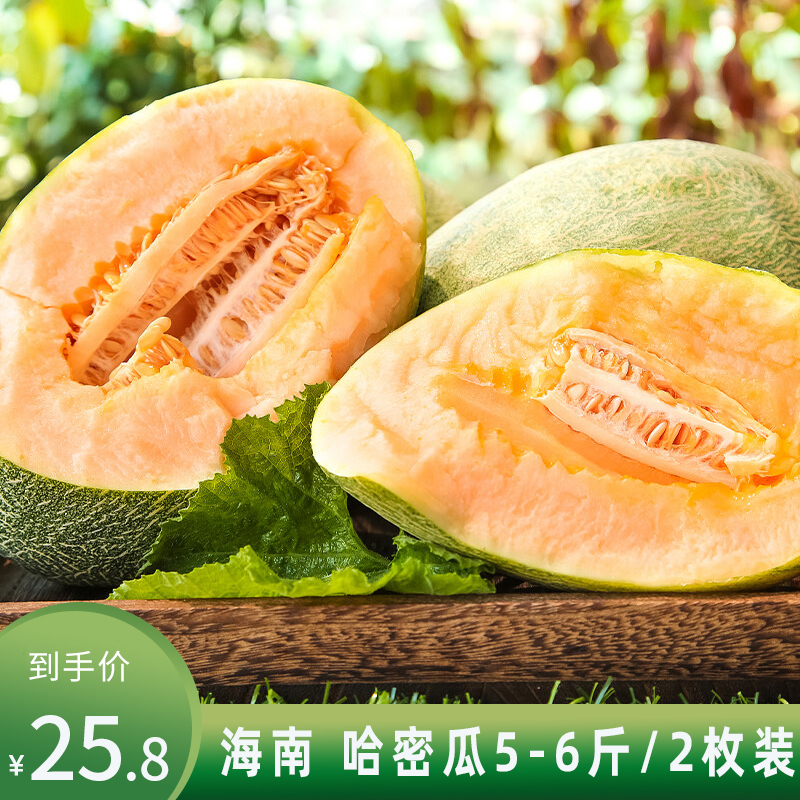 【自营包邮】海南 哈密瓜 5-6斤 2粒装 单果2-3斤 西州蜜甜瓜 