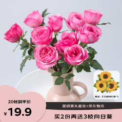 19.9元包邮！自营 京东鲜花 昆明基地 玫瑰花买10枝送10枝【共20枝】