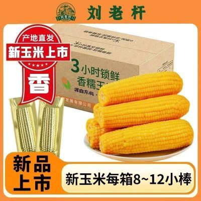 PDD热销产品汇总08点档更新2025/12/13