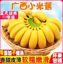 22.9元包邮！果迎鲜 小米蕉 净果9斤