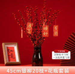15.9元包邮！中国红银柳20枝+花瓶+挂卡