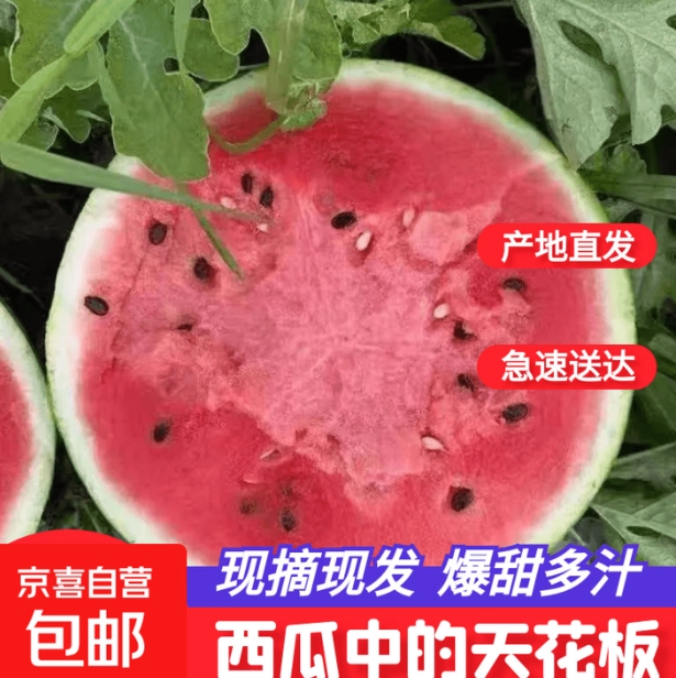 8元包邮！麒麟 国产8424美都西瓜 5-6斤