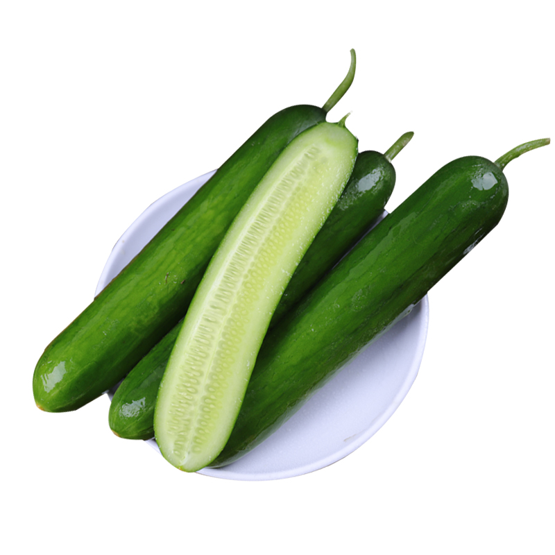 盒马山东寿光水果黄瓜时令应季现摘新鲜即食