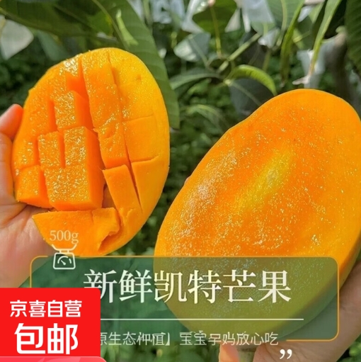 凯特芒5.5斤净重，到手仅需8元