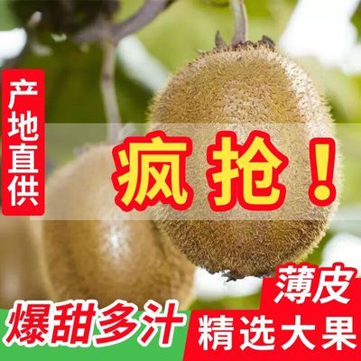 PDD热销产品汇总20点档更新2023/11/24