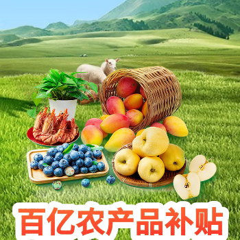 京东 京东百亿农产品补贴 蓝莓补贴价99.9元12盒