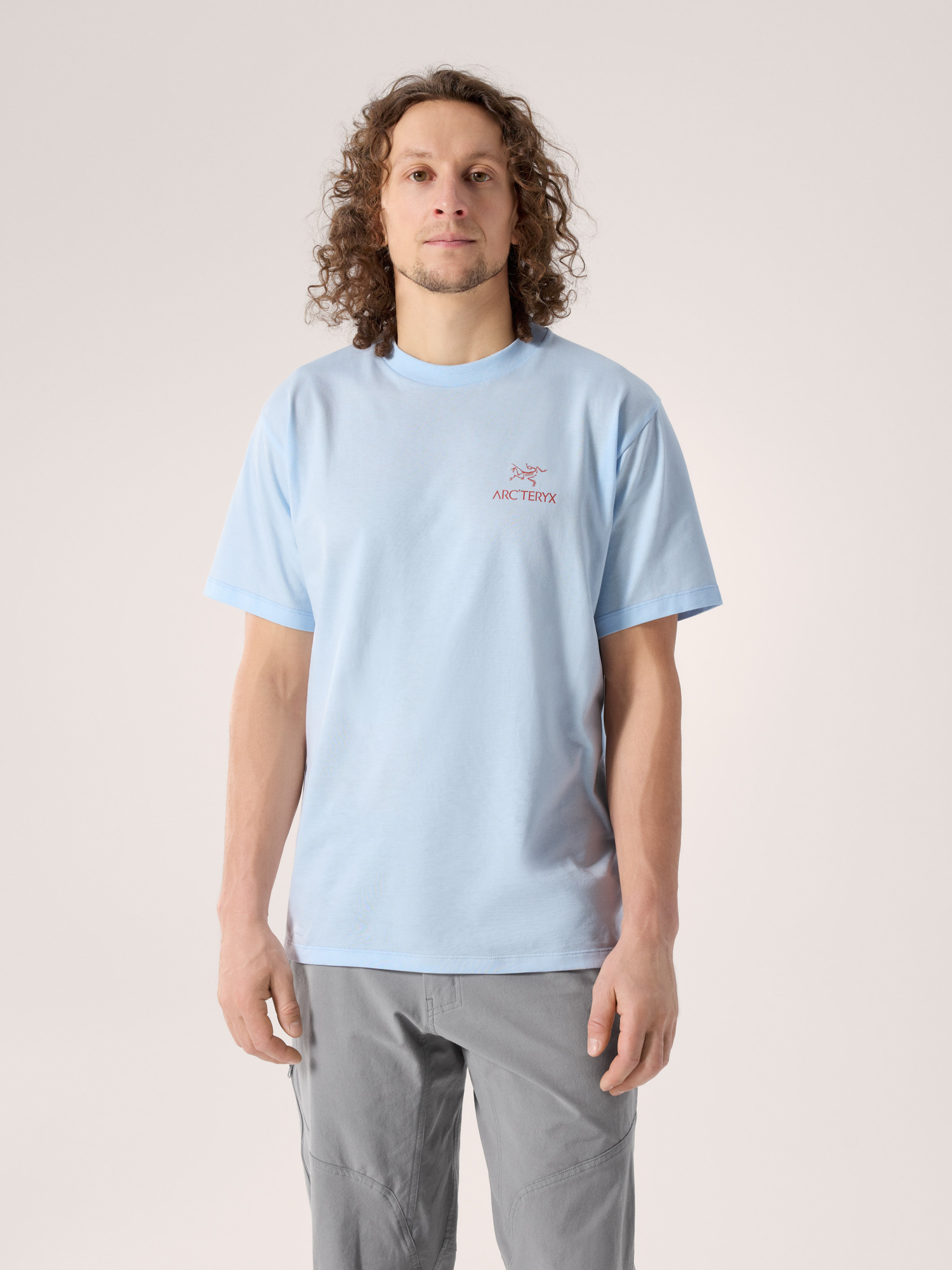 Arcteryx Kragg SL Cotton Bird Word Shirt SS始祖鸟男士T恤 Alpine Blue / Stone Red M