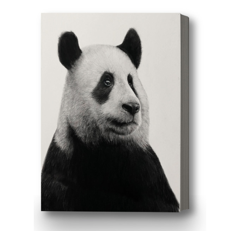 白色卡纸大白纸打印A4加厚素描纸20张