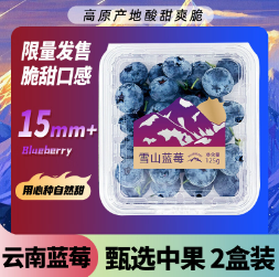 32元包邮！京鲜生 云南蓝莓 2盒装 约125g/盒 15mm+*2件