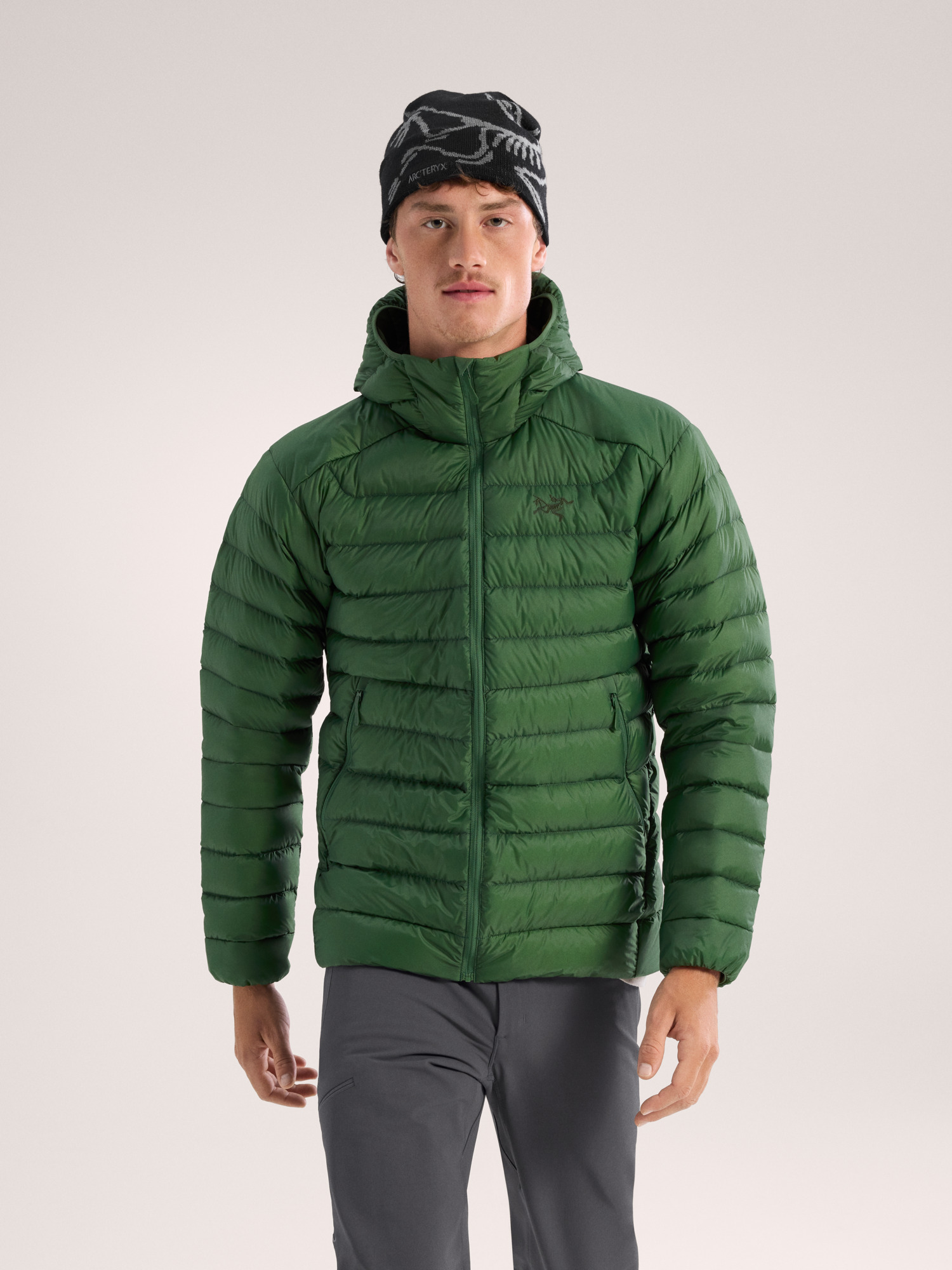 Arcteryx Cerium Hoody Men's