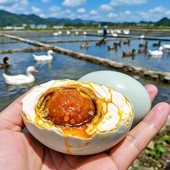 5.99元抢正宗咸鸭蛋50g*10枚，超值好价速囤